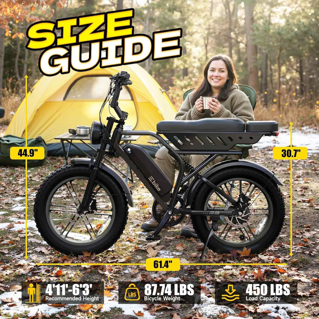 TST Electric Bike for Adults, 1500W Peak Motor 60 Miles Fat Tire Ebike with 48V 15Ah Removable Battery 20" Fat Tire Electric Bike, Dual Suspension，R9
